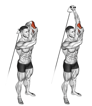 one arm overhead cable tricep extension