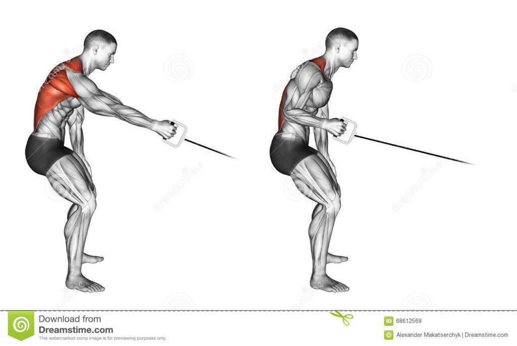 Single Arm Standing Cable Row